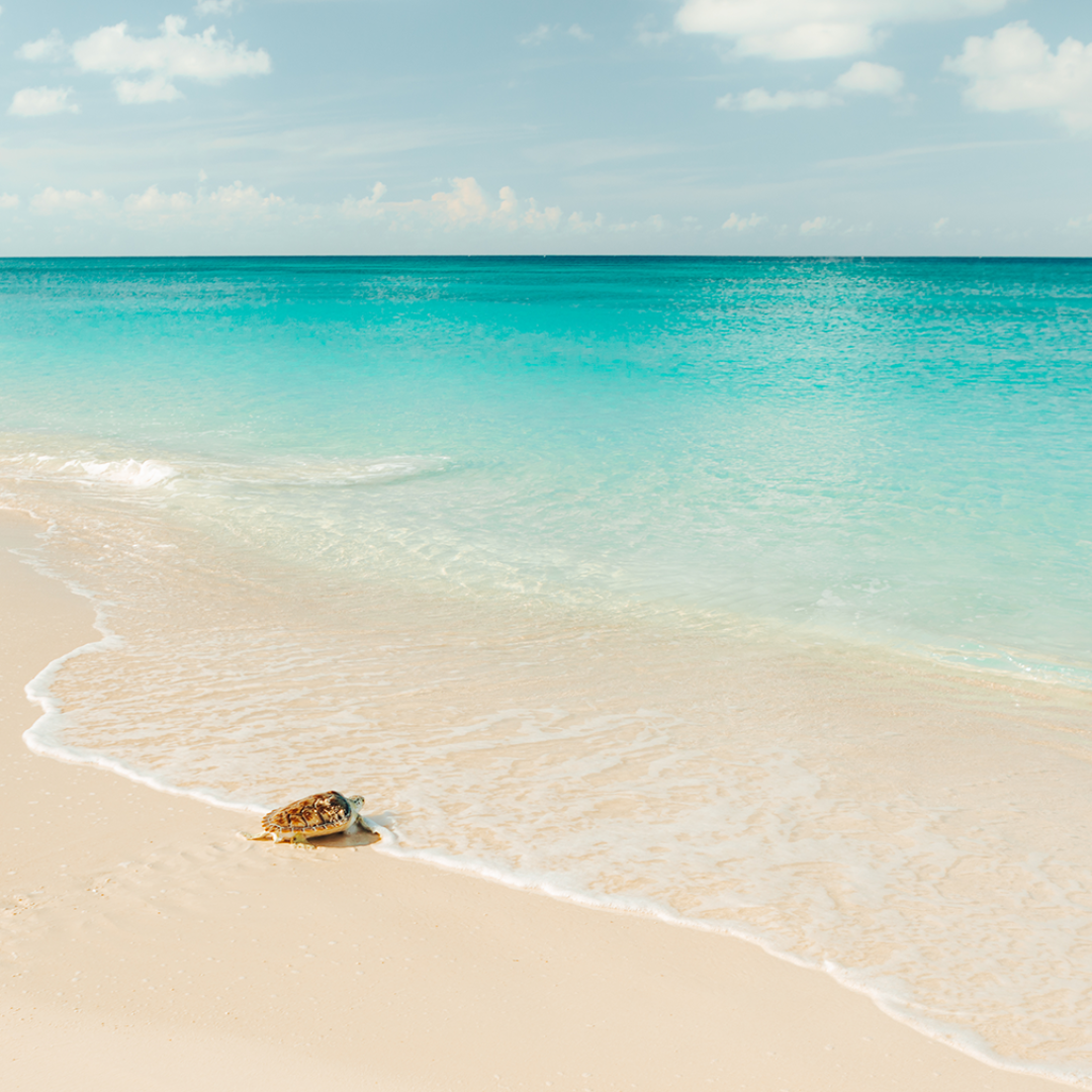 cayman-island-lead