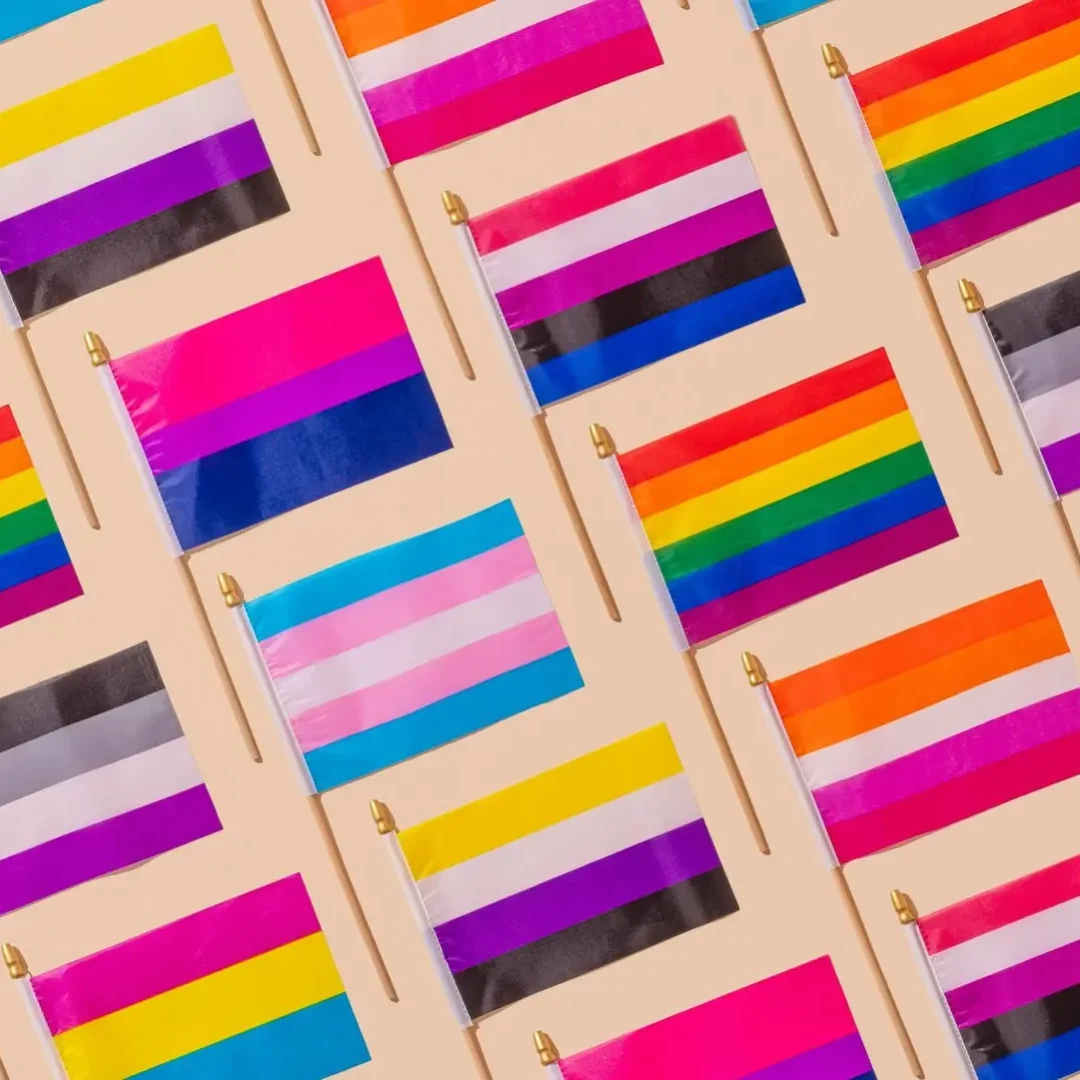 Pride flags representing all the different identities which make up the queer community. Credit: Shamblen Studios